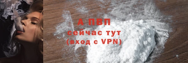 круглые Гусев