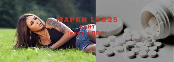 тгк Алзамай