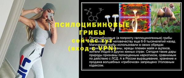 каннабис Каменногорск