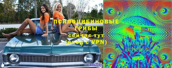 тгк Алзамай