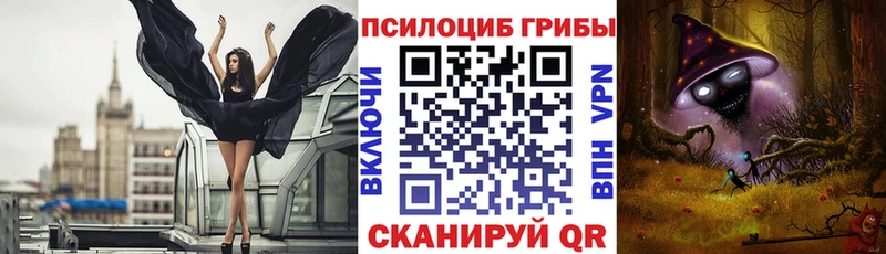 Псилоцибиновые грибы Psilocybe  Евпатория 