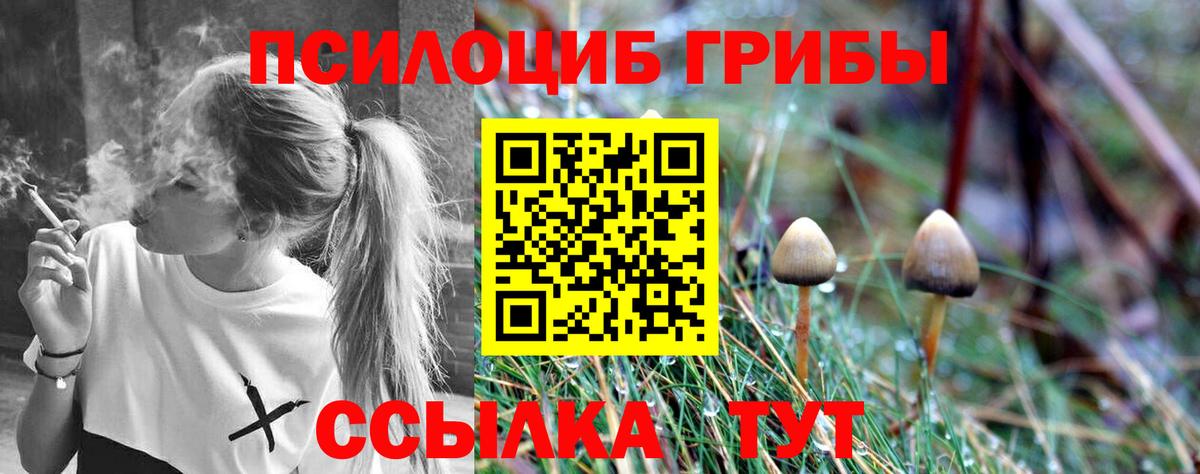 Галлюциногенные грибы Psilocybe Евпатория